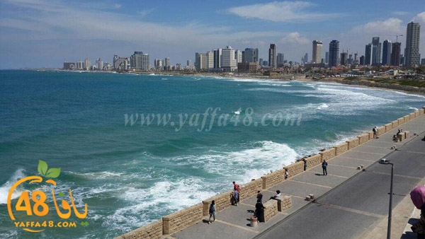 nesa2 wafed ej (4).JPG